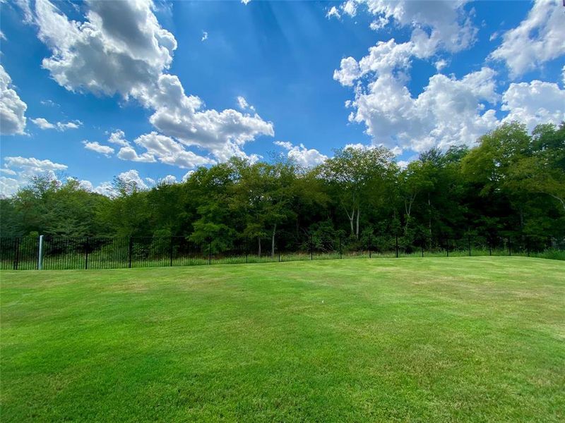 AMAZING huge back yard & backs to thick trees and greenspace. AMAZING huge back yard & backs to thick trees and greenspace.