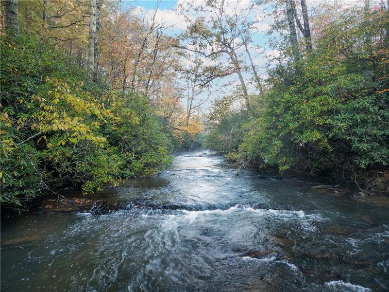 Natural landscape and outdoor views near  in Cherry Log (Image 44).
