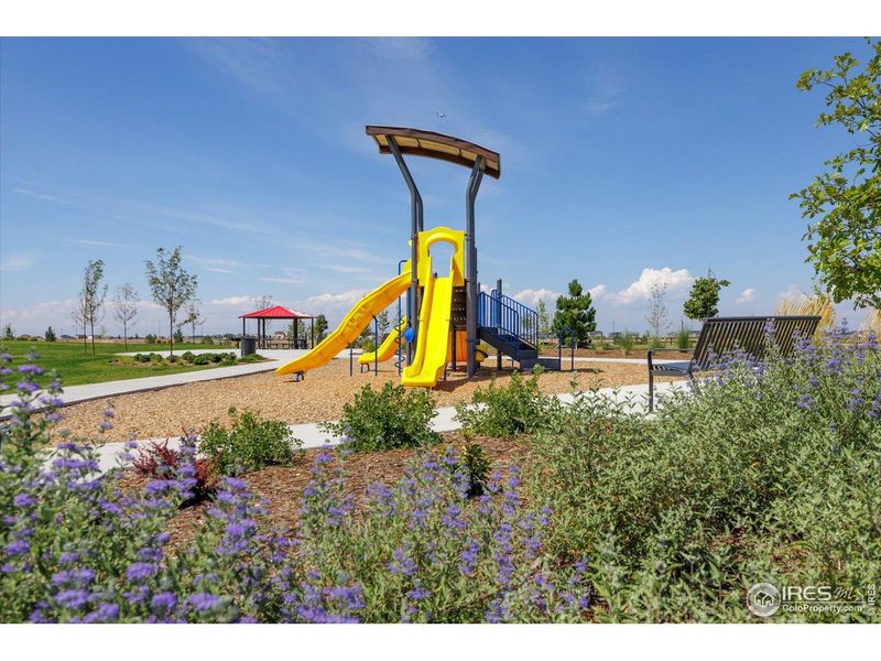 Community amenities in Settlers Crossing, Commerce City (Image 32). Community amenities in Settlers Crossing, Commerce City (Image 32).