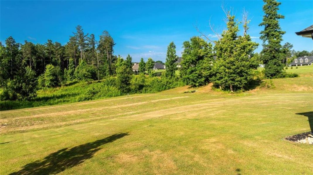 Natural landscape and outdoor views near  in Newnan (Image 26).