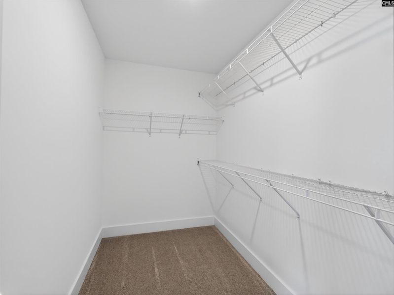 Spacious, unfurnished interior of a new home in Collins Cove, Chapin (Image 49).