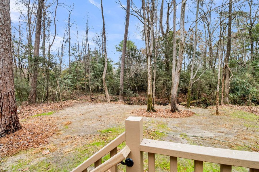 Natural landscape and outdoor views near  in Summerville (Image 35).