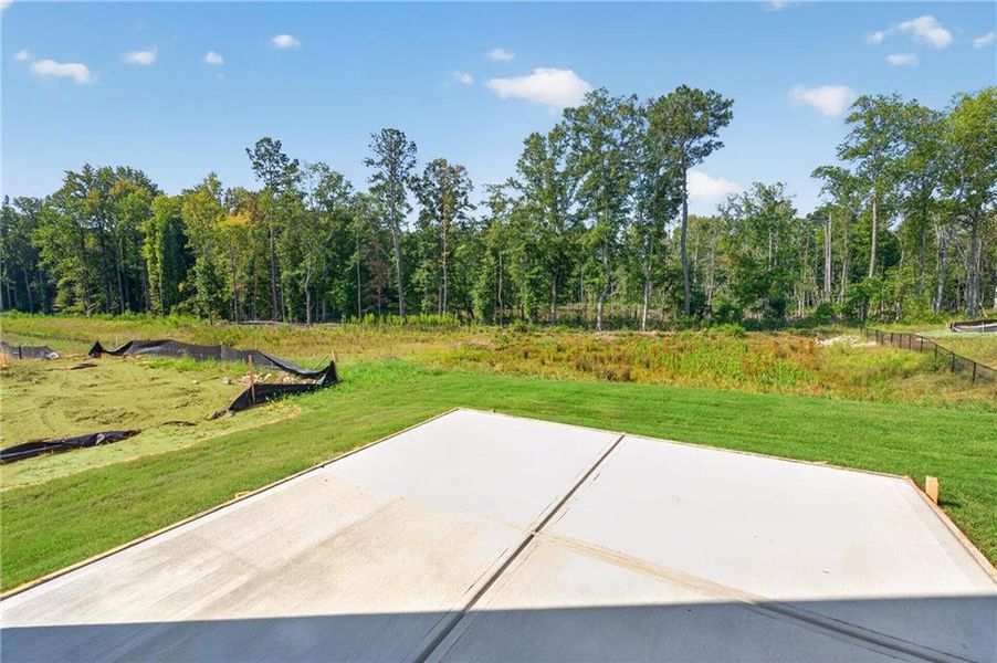 Natural landscape and outdoor views near  in Loganville (Image 71).