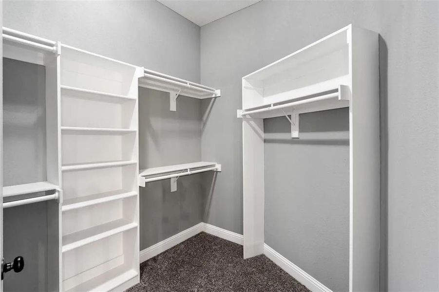 Walk in closet featuring dark colored carpet