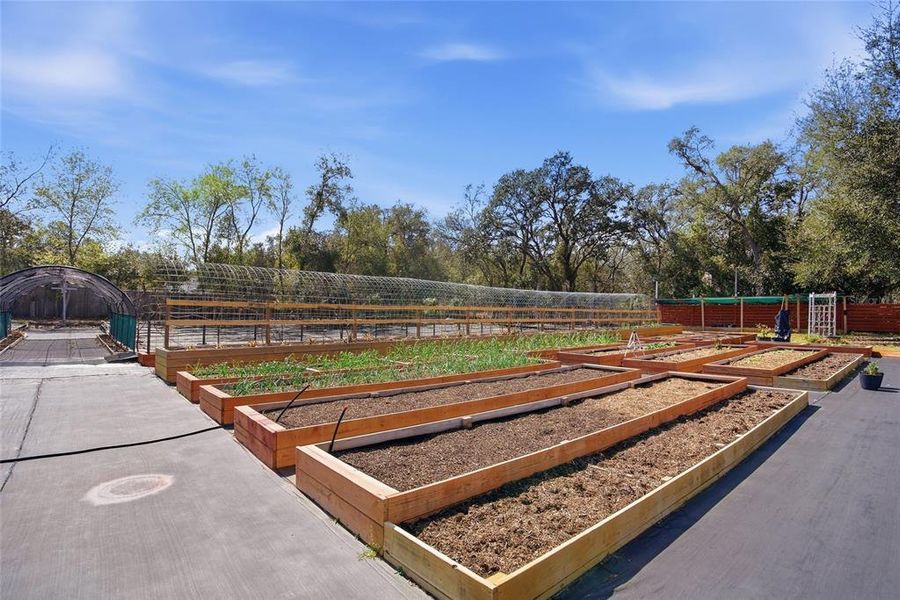 Community amenities in , Spring Hill (Image 36).