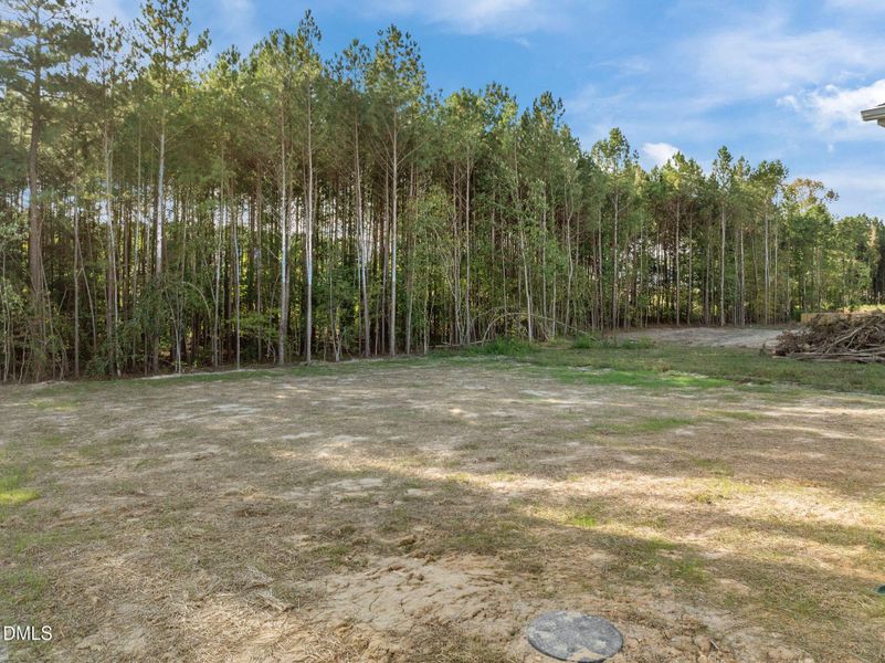 13-web-or-mls-DJI_0503