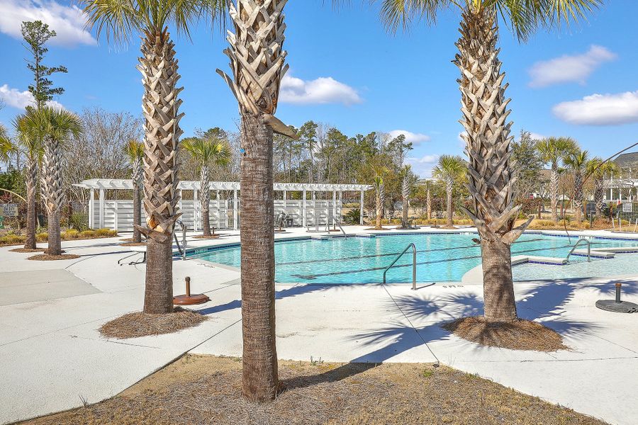 Community amenities in , Summerville (Image 29).