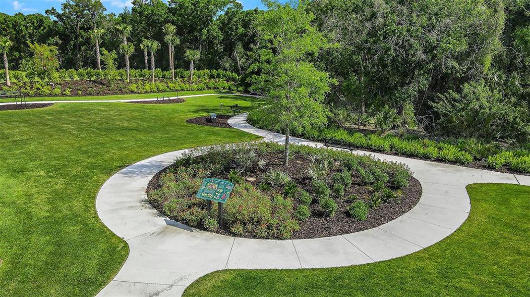 Community amenities in Esplanade at Azario Lakewood Ranch, Bradenton (Image 26).