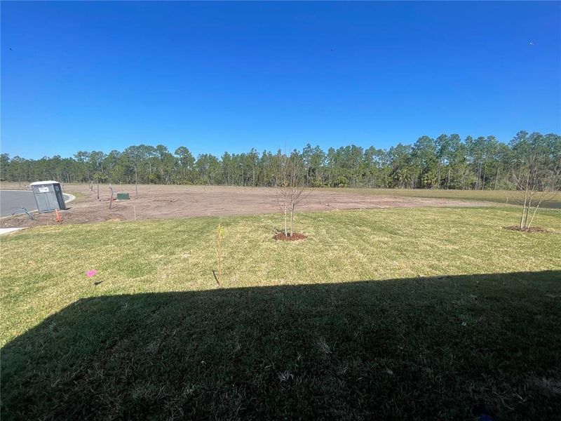 Image 37 of a home in Magnolia Series at Seminole Palms. Image 37 of a home in Magnolia Series at Seminole Palms.