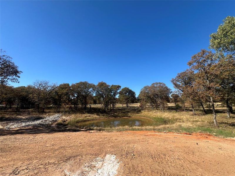 Natural landscape and outdoor views near Escondido Ranches in Poolville (Image 24).