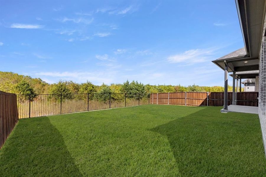 27. 1024 Olympic - Back (2) 27. 1024 Olympic - Back (2)