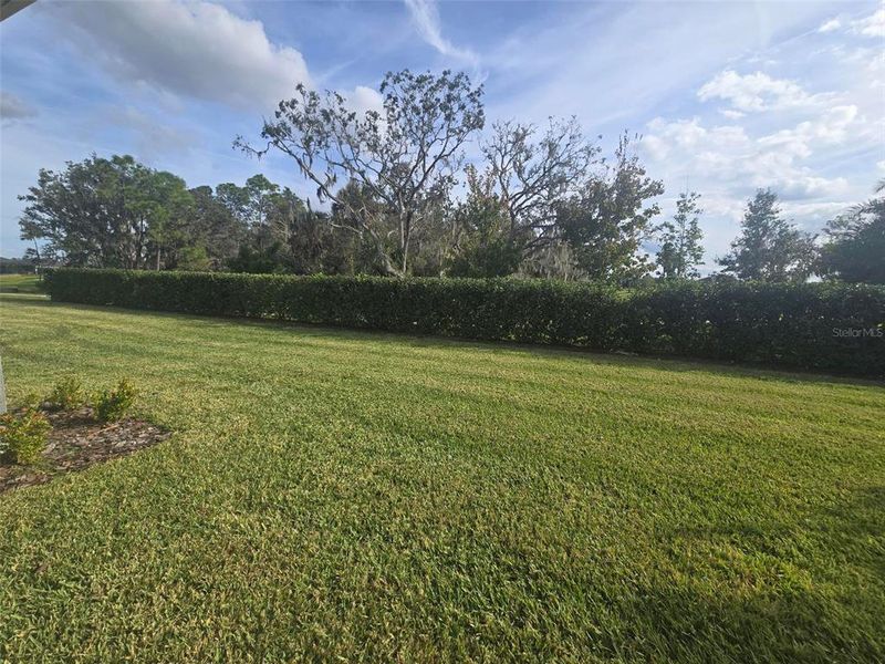 Natural landscape and outdoor views near Aviary at Rutland Ranch in Parrish (Image 26).