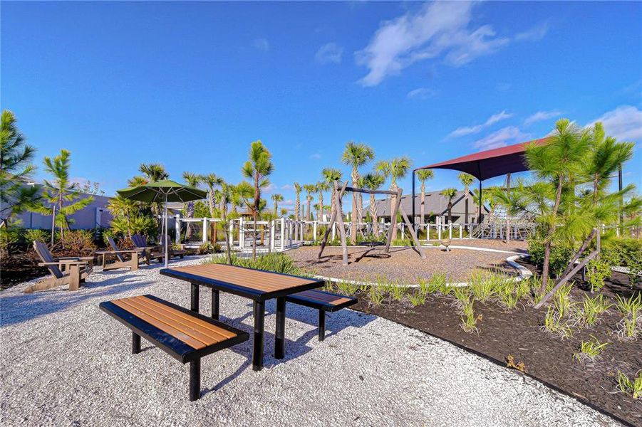 Community amenities in , Zephyrhills (Image 66). Community amenities in , Zephyrhills (Image 66).