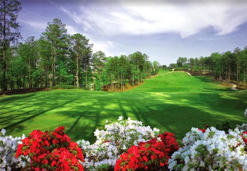 Natural landscape and outdoor views near  in Acworth (Image 16).