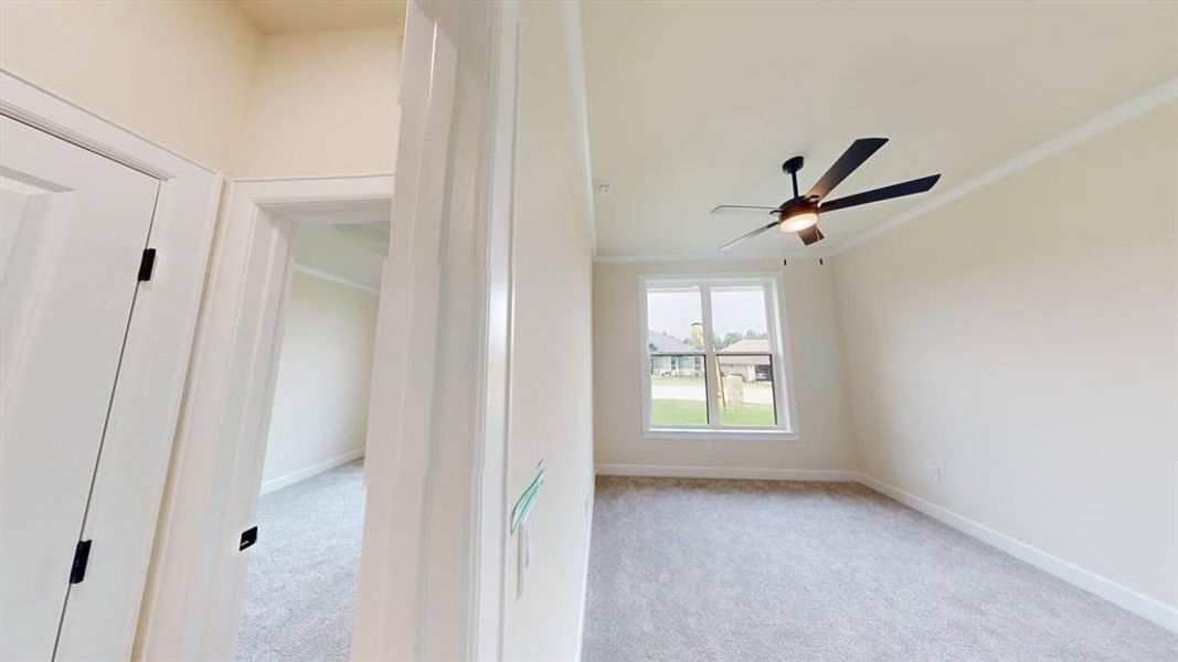 Room featuring carpet floors and a ceiling fan