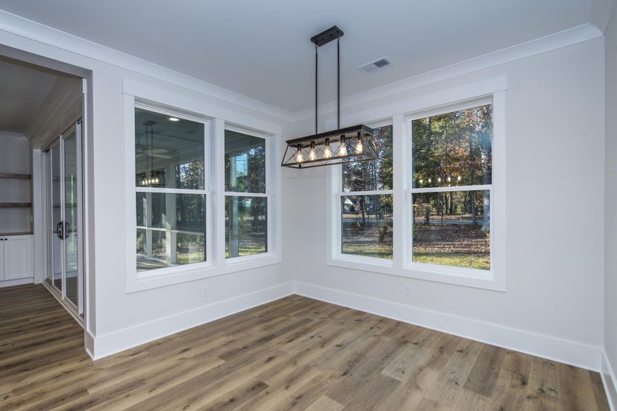 Spacious, unfurnished interior of a new home in , Chapin (Image 43).