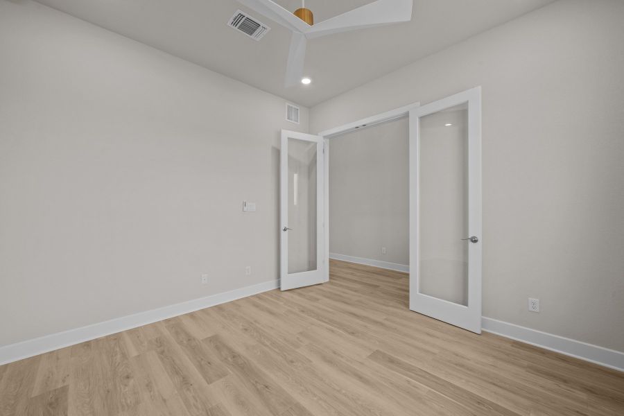 The Bluebonnet - Study