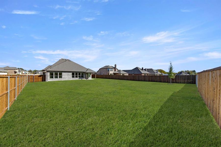 30. 610 Tenor - Back (2) 30. 610 Tenor - Back (2)