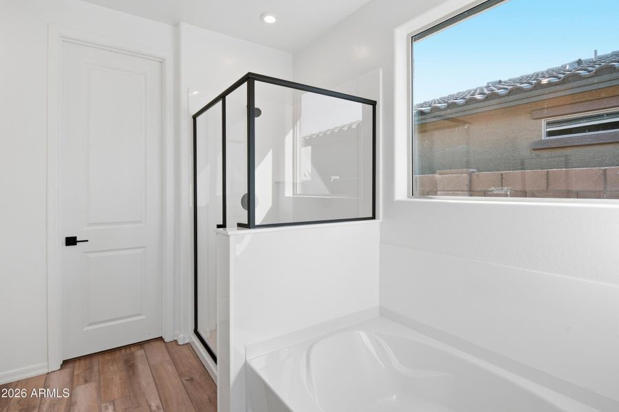 Acacia Foothill-vacant-21