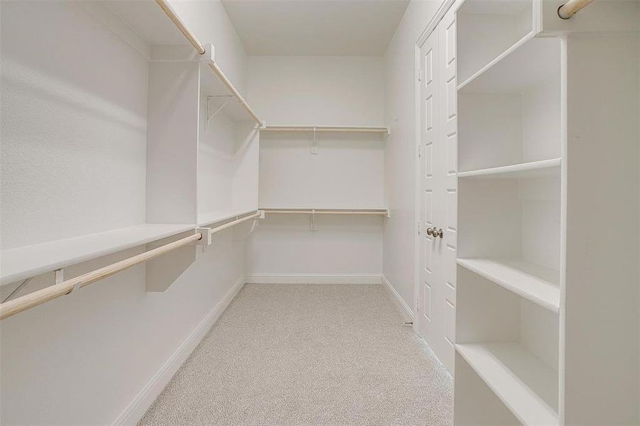 Walk in closet with light colored carpet