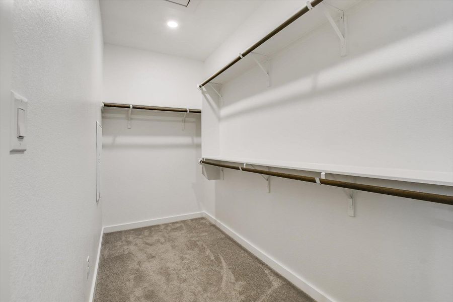Large primary walk-in closet featuring light gray carpet flooring, white walls, and built-in shelving with hanging rods