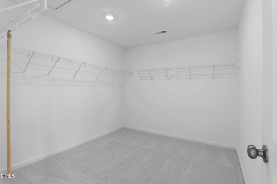 SUN_WesleyDowns_Pic_Davidson-33