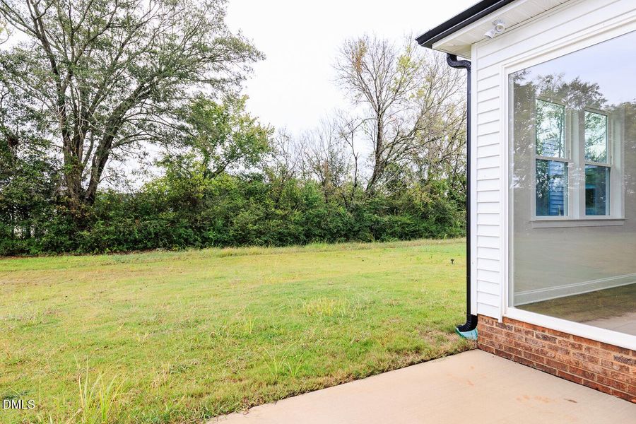 MAG SF_Lot140_Yosemite_QMI (19)