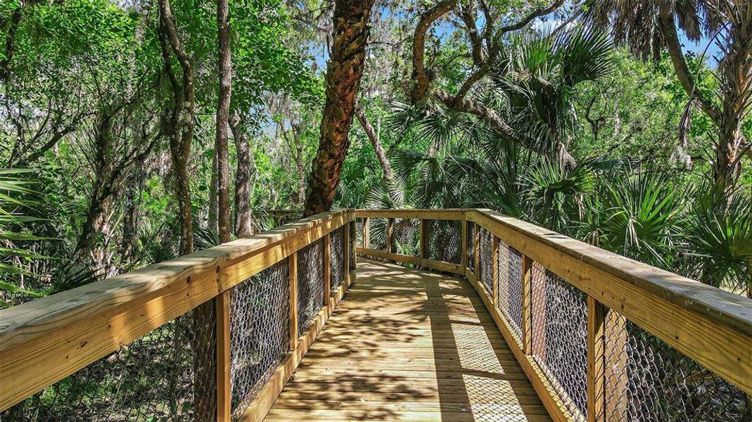 Natural landscape and outdoor views near Skye Ranch Community Group Page in Sarasota (Image 76).