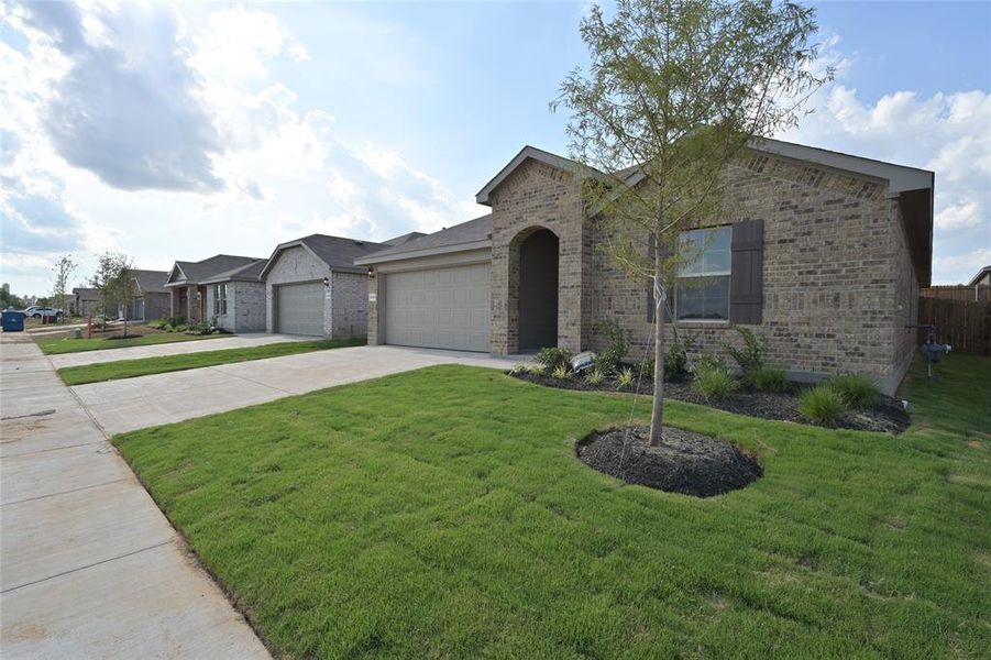 Neighborhood Sidewalks