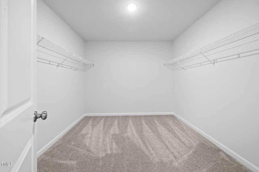 15-web-or-mls-7K5A0937