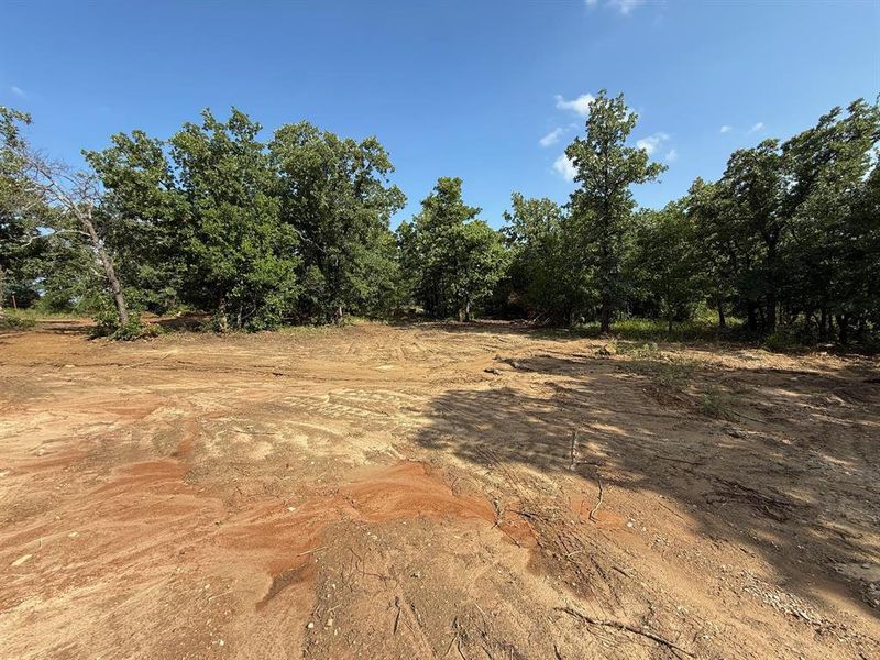 Expansive natural land offering significant clearings and mature tree coverage Expansive natural land offering significant clearings and mature tree coverage