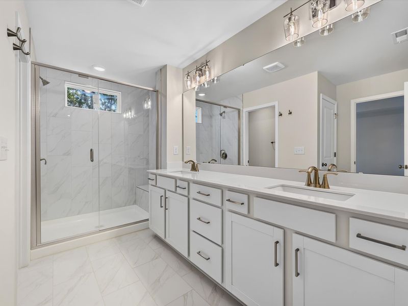 Owner's Bath
