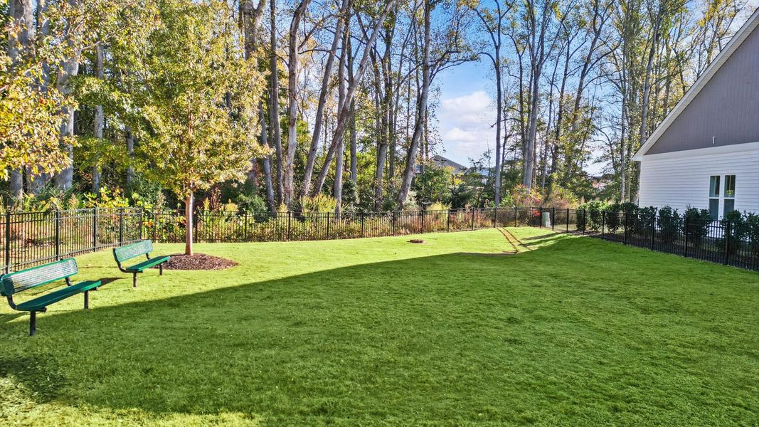 Natural landscape and outdoor views near Camden Cottages in Greenville (Image 33).