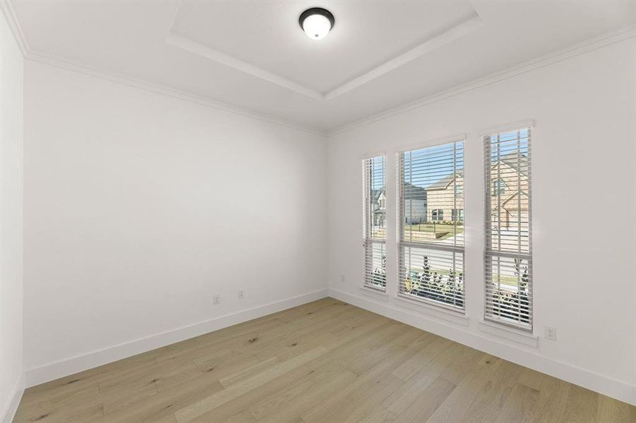 10020 La Frontera-Study-1 10020 La Frontera-Study-1