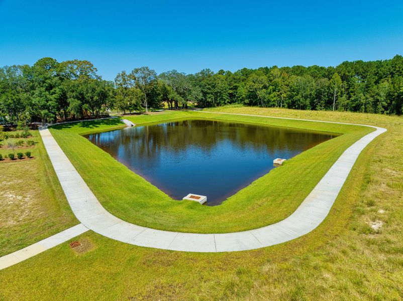 Natural landscape and outdoor views near  in Summerville (Image 29).