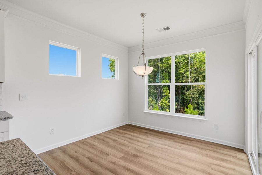 Spacious, unfurnished interior of a new home in Harrington, Greenville (Image 15).