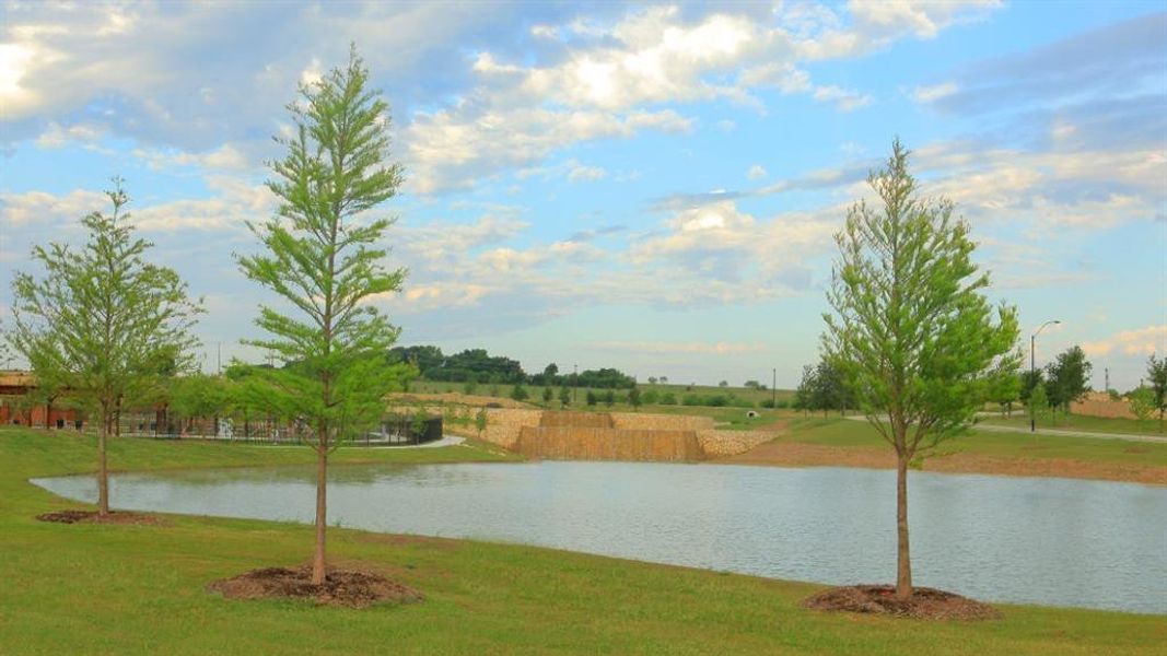 Natural landscape and outdoor views near Morningstar in Fort Worth (Image 23). Natural landscape and outdoor views near Morningstar in Fort Worth (Image 23).