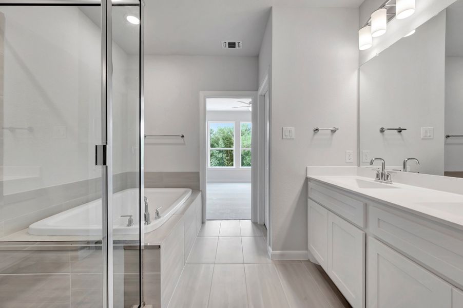 Owner's Bath