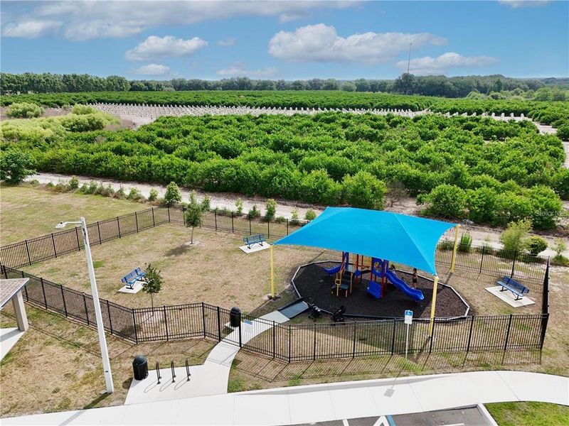 Community amenities in Peace Creek Reserve, Winter Haven (Image 23).