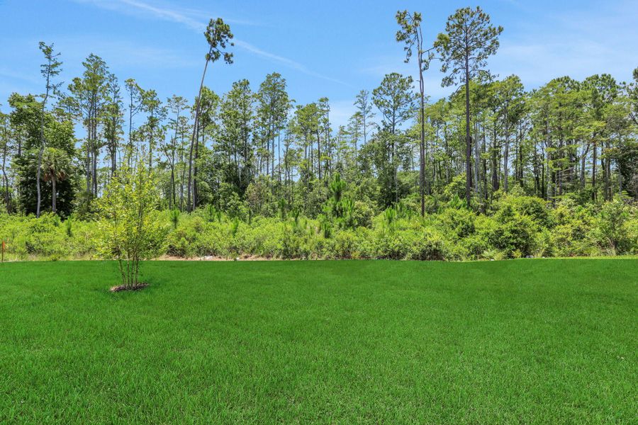 1,908sf New Home in Jacksonville, FL.  - Slide 7