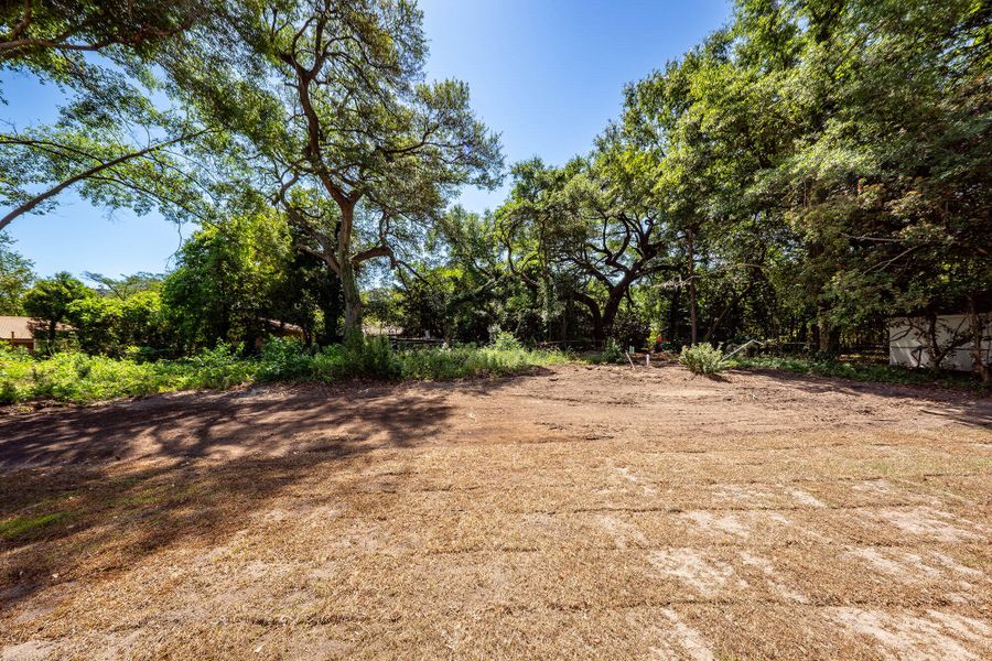 Natural landscape and outdoor views near  in North Charleston (Image 37).