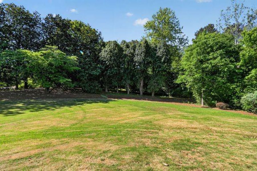 Natural landscape and outdoor views near  in Roswell (Image 58).