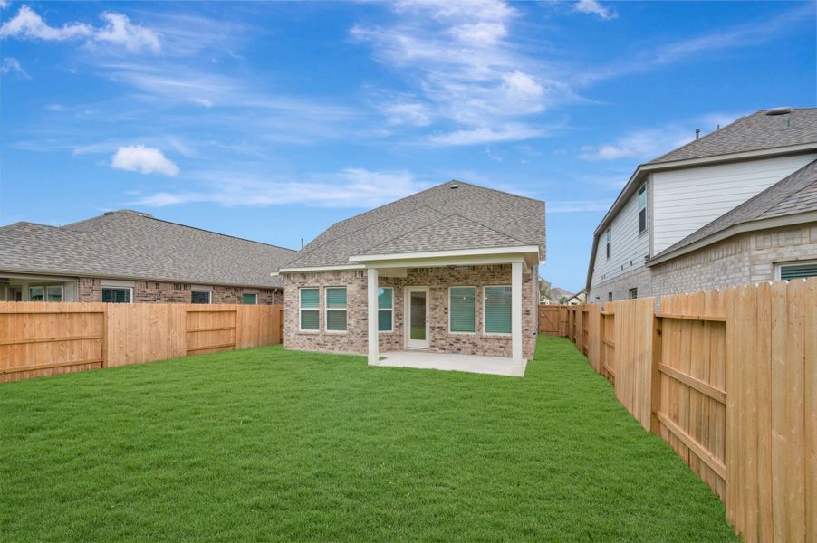 Backyard