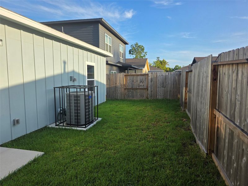Backyard Backyard