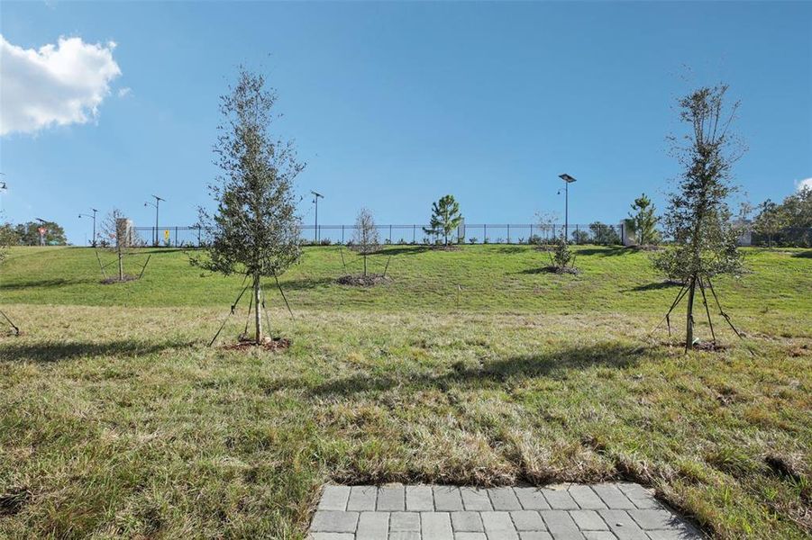 Natural landscape and outdoor views near The Reserve at Hammock Oaks Townes in Lady Lake (Image 44).