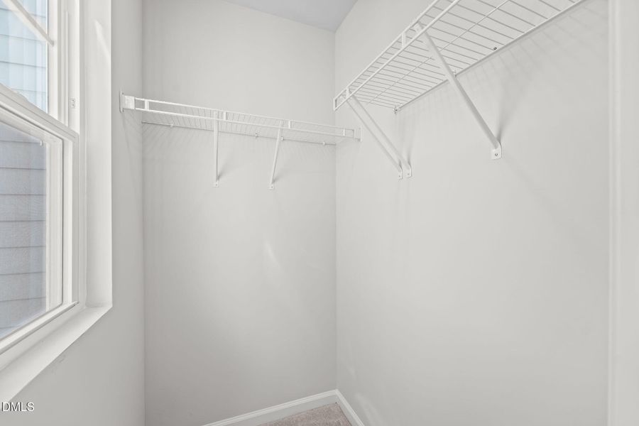 737 Painted Daisy Way