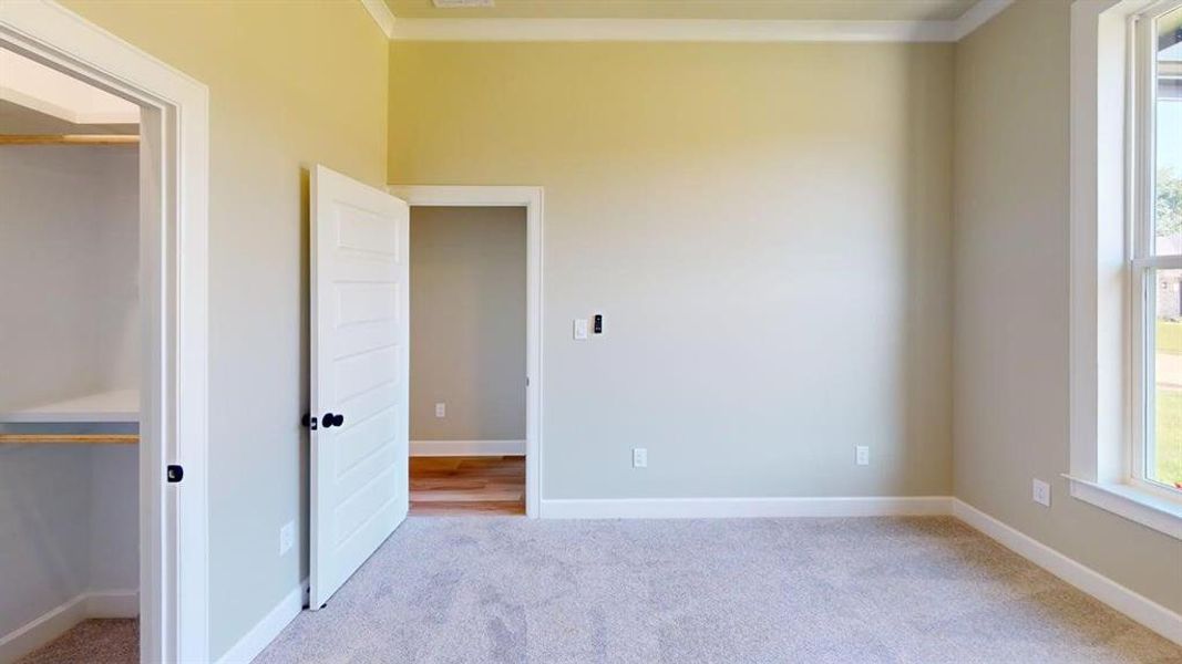 Unfurnished bedroom featuring carpet flooring, baseboards, ornamental molding, and a closet