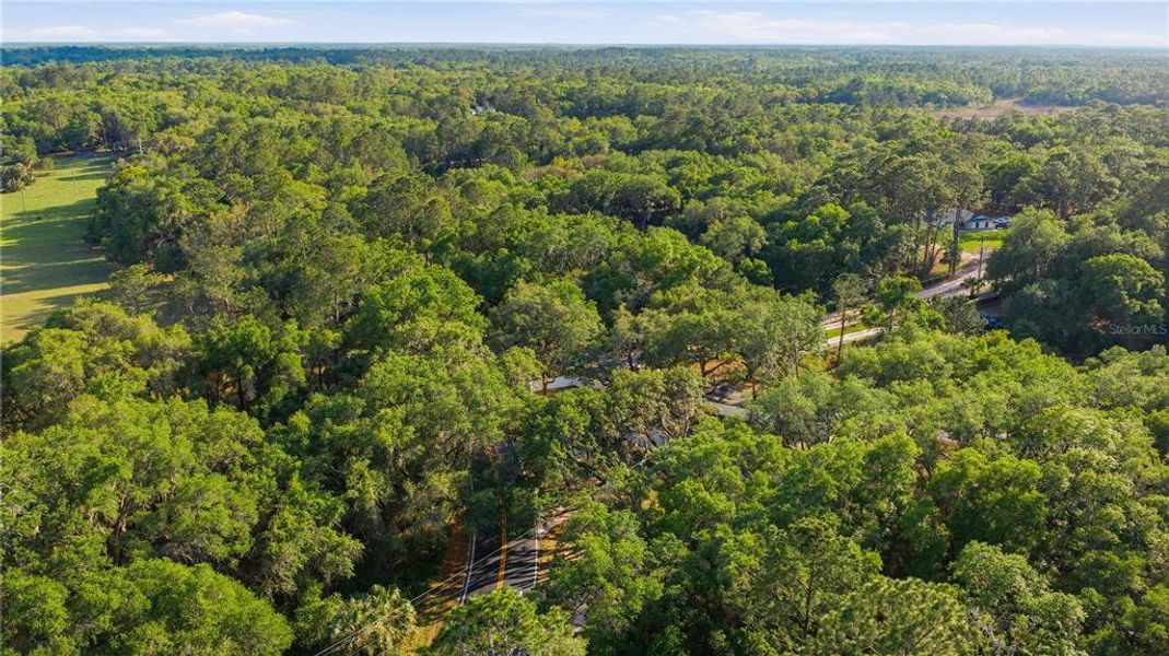 Natural landscape and outdoor views near  in Ocklawaha (Image 20).
