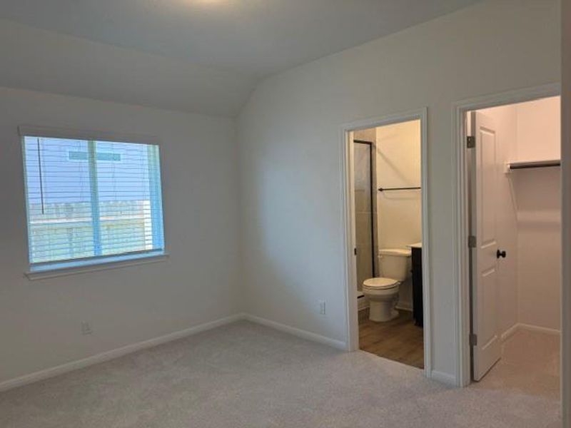 Carpeted room featuring a window with blinds, a ceiling-mounted light fixture, a doorway to a bathroom with wood-finish flooring, and a doorway to a closet with built-in shelving and hanging rod