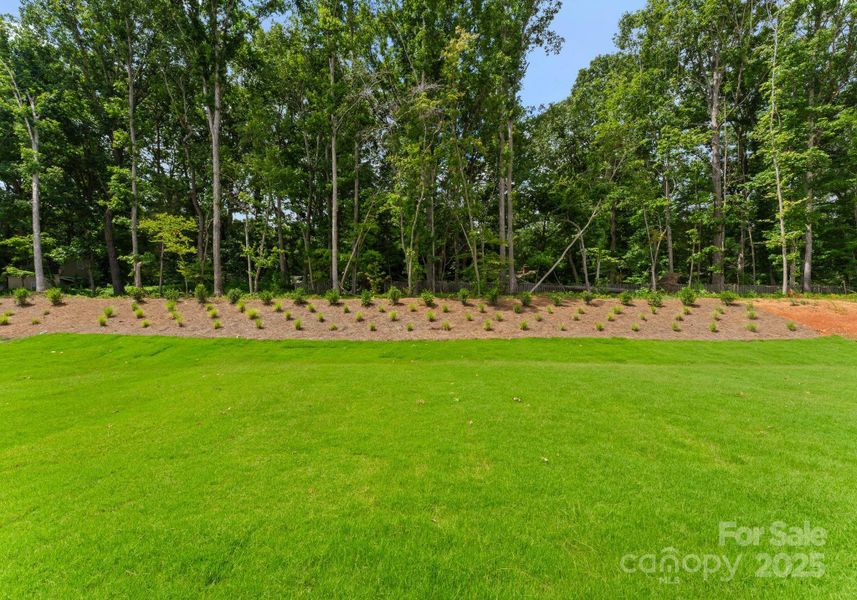 Natural landscape and outdoor views near  in Wesley Chapel (Image 19).